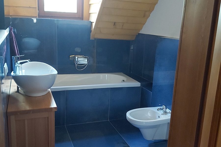 Baia apartamentului Cosmos